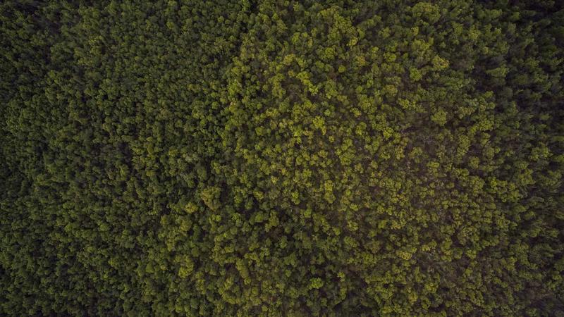 So sánh NOHU90 và Sunwin chi tiết